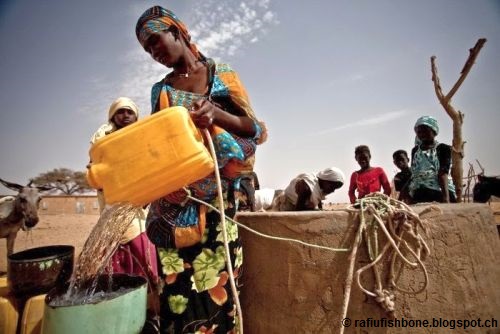 STRENGTHENING THE MONITORING & EVALUATION PROCESS OF THE WATER & AND SANITATION DEPARTMENT OF THE AFRICAN DEVELOPMENT BANK (AFDB)