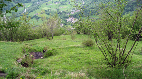 BIODIVERSITY MONITORING IN AGRICULTURAL ECOSYSTEMS