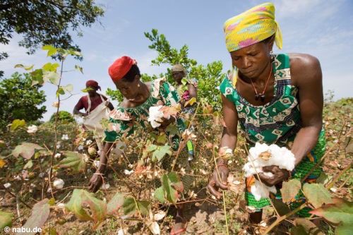 RURAL LIVELYHOOD DEVELOPMENT COMPANY IN TANZANIA 